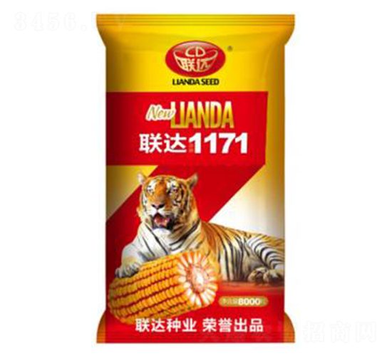 聯(lián)達1171-玉米種子-聯(lián)達種業(yè)