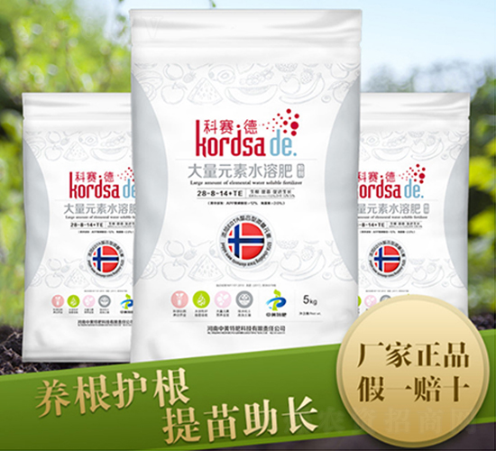 生根壯苗高氮水溶肥28-8-14+TE-科賽德-安陽中盛