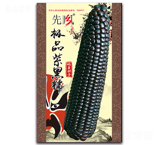 極品紫黑糯-糯玉米種子-先風(fēng)