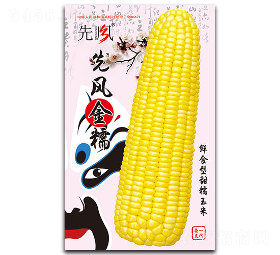 先風(fēng)金糯-甜糯玉米種子-先風(fēng)