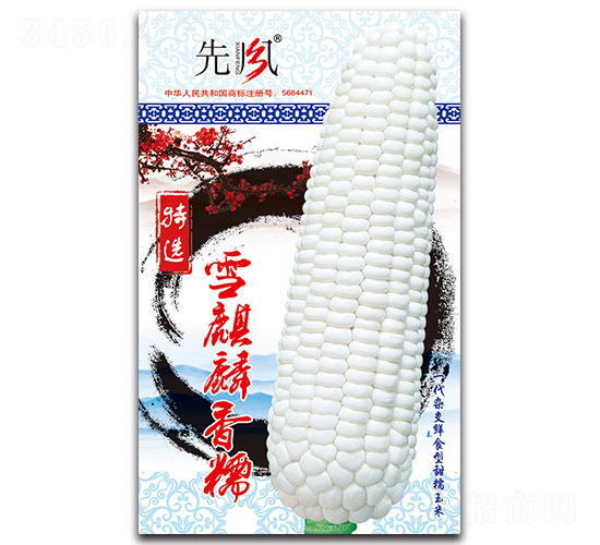 雪麒麟香糯-甜糯玉米種子-先風(fēng)