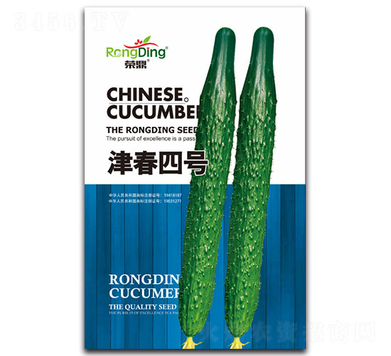 津春四號-黃瓜種子-先風