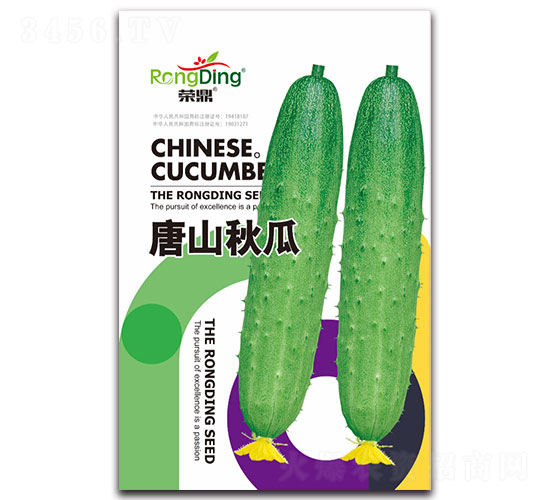 榮鼎唐山秋瓜-黃瓜種子-先風(fēng)