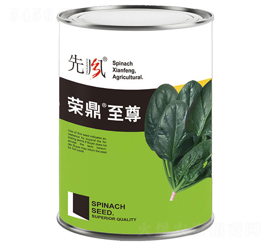 榮鼎至尊-菠菜種子-先風(fēng)