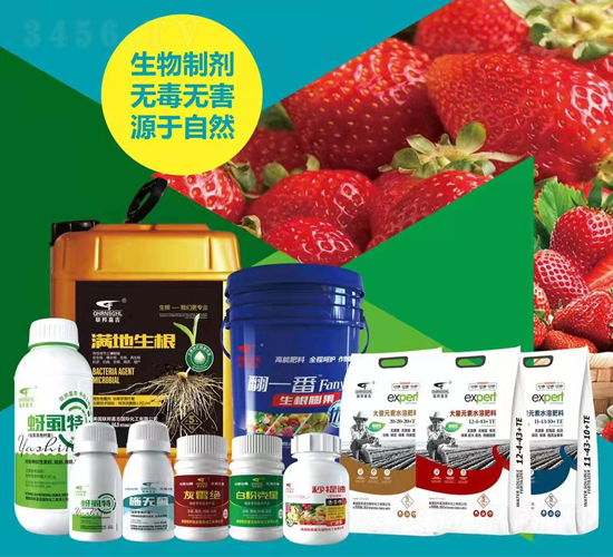 草莓施肥方案-聯(lián)邦嘉吉