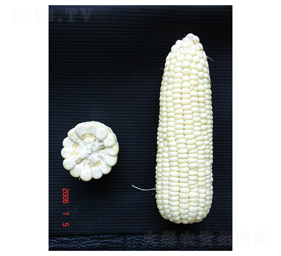 é„‚ç™½ç³¯1è™Ÿ(hÃ o)-ç³¯çŽ‰ç±³ç¨®å­-ä¸­è¾²(nÃ³ng)ç™¼(fÄ)