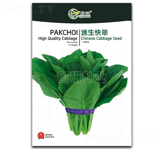 速生快翠-小白菜種子-國(guó)研種業(yè)