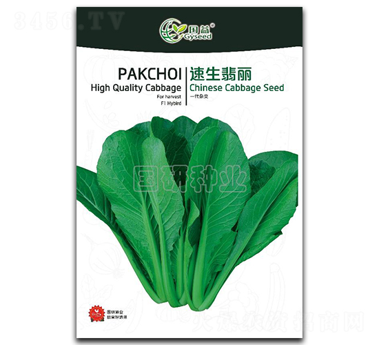 速生翡麗-小白菜種子-國研種業(yè)