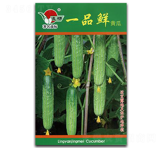 一品鮮黃瓜-黃瓜種子-仁大農(nóng)業(yè)