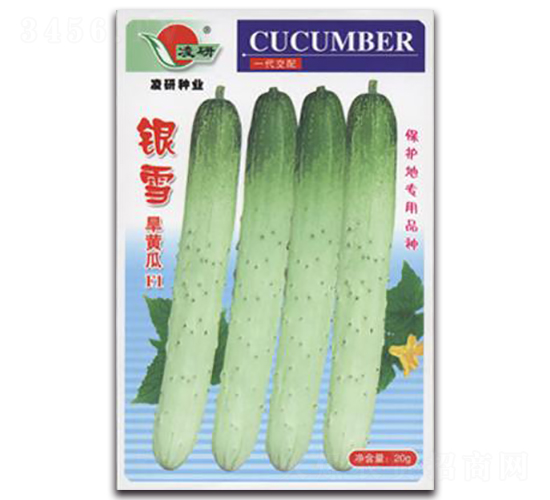 銀雪-黃瓜種子-仁大農(nóng)業(yè)