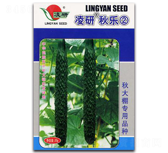 凌研秋樂(lè)②-黃瓜種子-仁大農(nóng)業(yè)