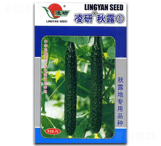 凌研秋露①-黃瓜種子-仁大農業(yè)