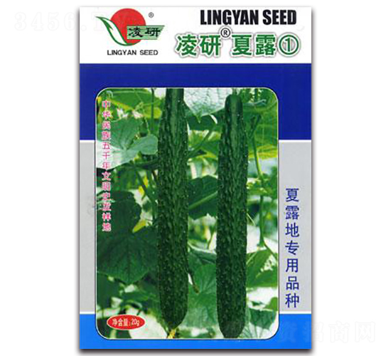 凌研夏露①-黃瓜種子-仁大農(nóng)業(yè)