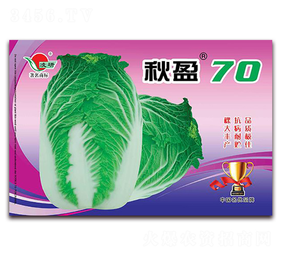秋盈70-白菜種子-仁大農(nóng)業(yè)