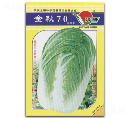 金秋70-白菜種子-仁大農(nóng)業(yè)
