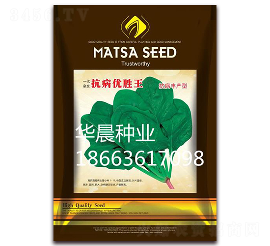 抗病優(yōu)勝王-菠菜種子-華晨種業(yè)