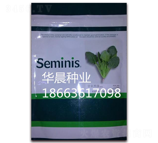 皇家黑強-菠菜種子-華晨種業(yè)