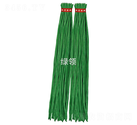 JK29-豆角種子-綠領(lǐng)種業(yè)
