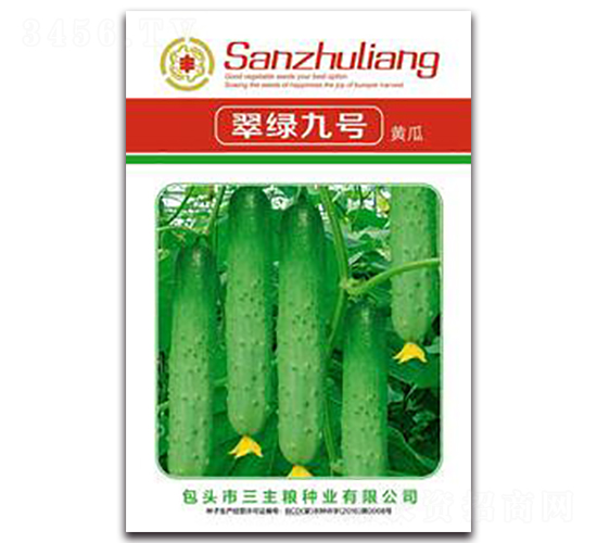 翠綠九號黃瓜-黃瓜種子-三主糧