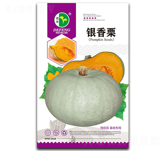 銀香栗-南瓜種子-德豐種業(yè)