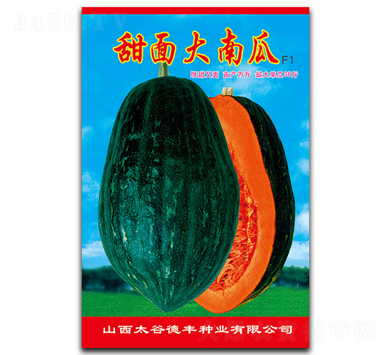 甜面大南瓜-南瓜種子-德豐種業(yè)
