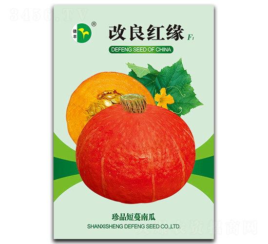 改良紅緣-南瓜種子-德豐種業(yè)
