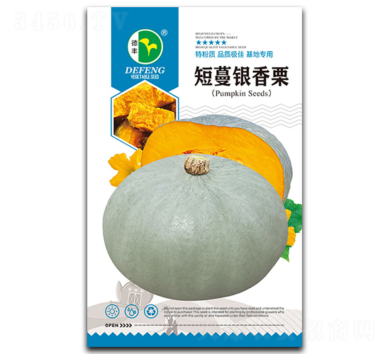 短蔓銀香栗-南瓜種子-德豐種業(yè)