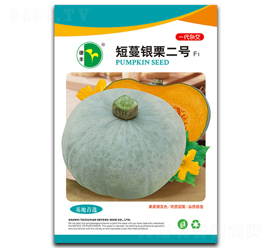 短蔓銀栗二號-南瓜種子-德豐種業(yè)