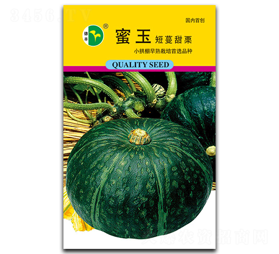 短蔓蜜玉-南瓜種子-德豐種業(yè)