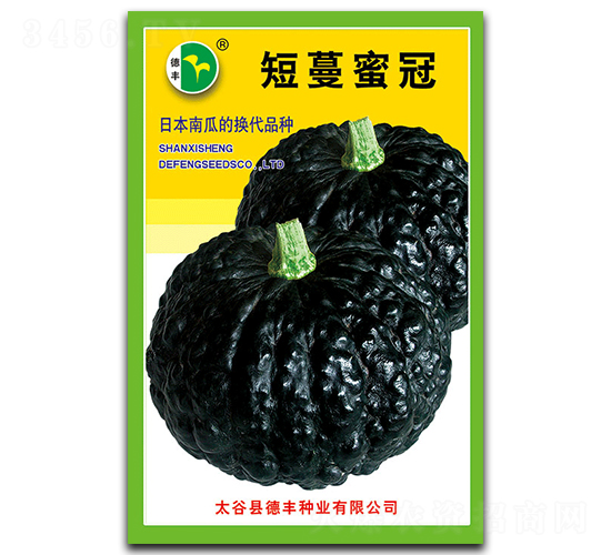 短蔓蜜冠-南瓜種子-德豐種業(yè)