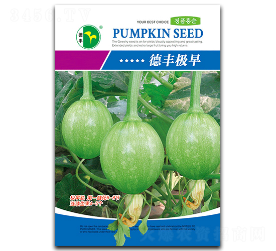 德豐極早-南瓜種子-德豐種業(yè)
