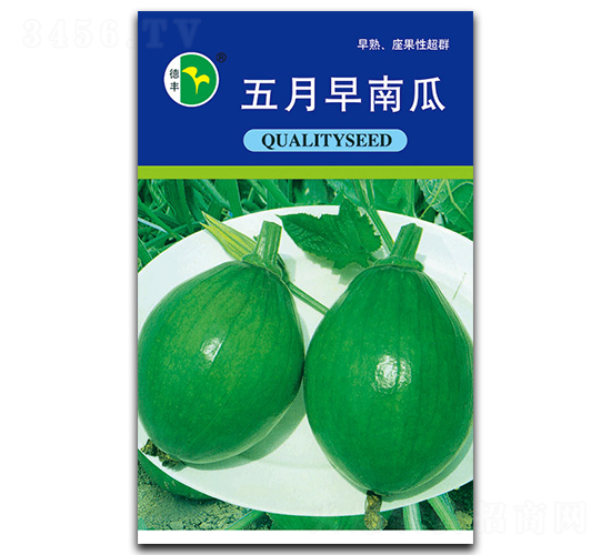 五月早南瓜-南瓜種子-德豐種業(yè)