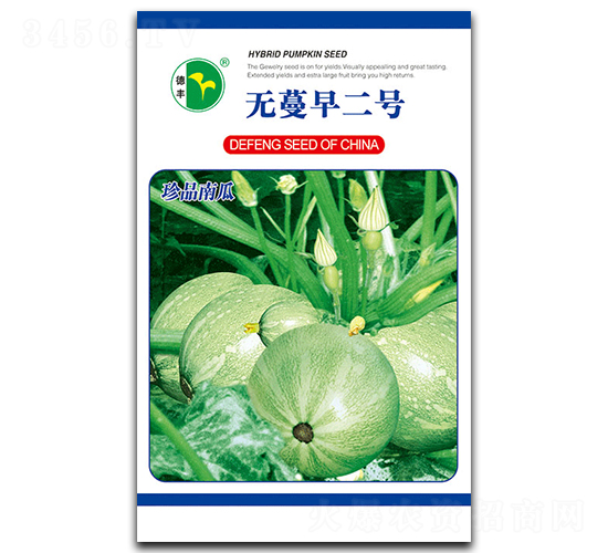 無蔓早二號-南瓜種子-德豐種業(yè)