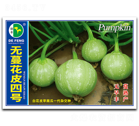 無(wú)蔓花皮四號(hào)-南瓜種子-德豐種業(yè)