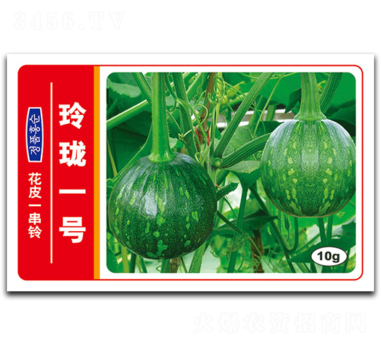 玲瓏一號-南瓜種子-德豐種業(yè)