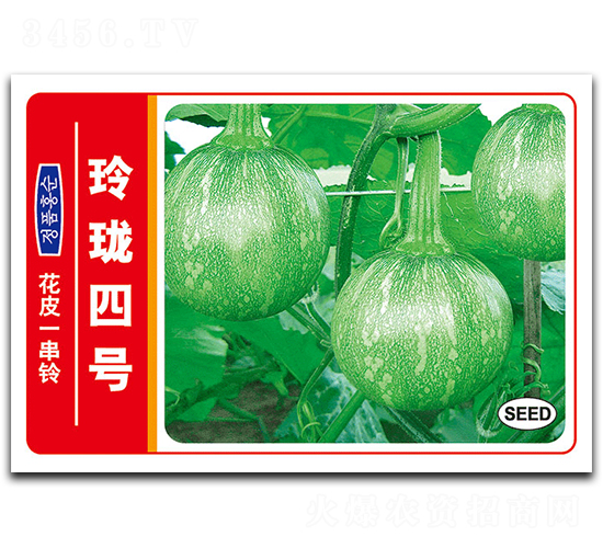 玲瓏四號(hào)-南瓜種子-德豐種業(yè)