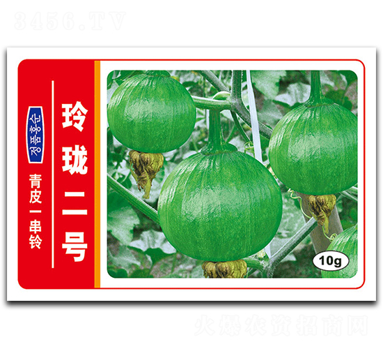 玲瓏二號(hào)-南瓜種子-德豐種業(yè)