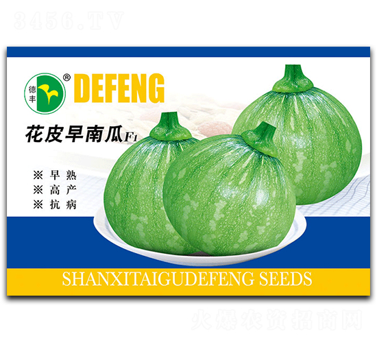 花皮早南瓜-南瓜種子-德豐種業(yè)