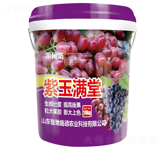 紫玉滿(mǎn)堂-果秘坊-億航