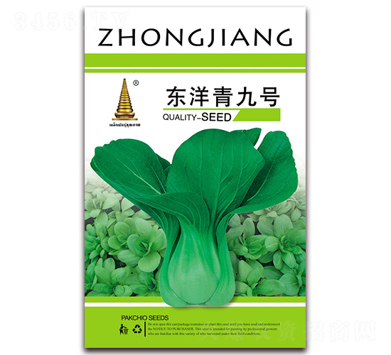 東洋青九號(hào)-青菜種子-中江農(nóng)業(yè)