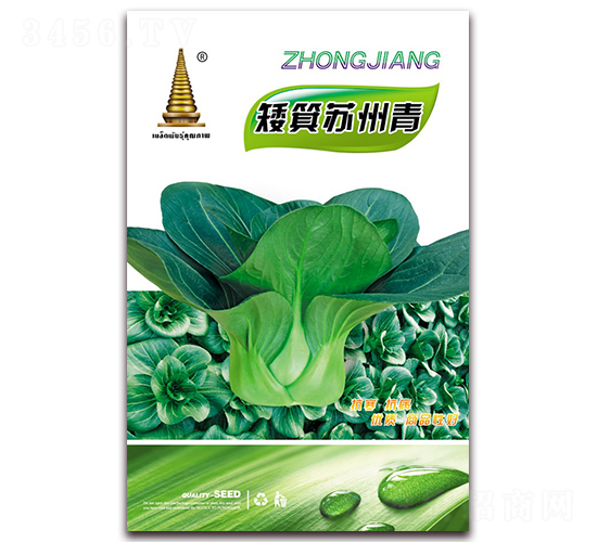 çŸ®ç®•è˜‡å·žé’-é’èœç¨®å­-ä¸­æ±Ÿè¾²(nÃ³ng)æ¥­(yÃ¨)