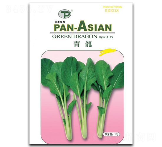 青龍菜種子-誼禾