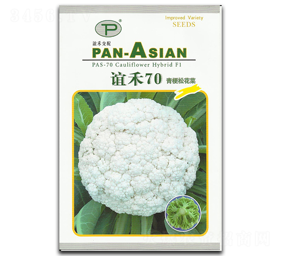 誼禾70-松花菜種子-誼禾