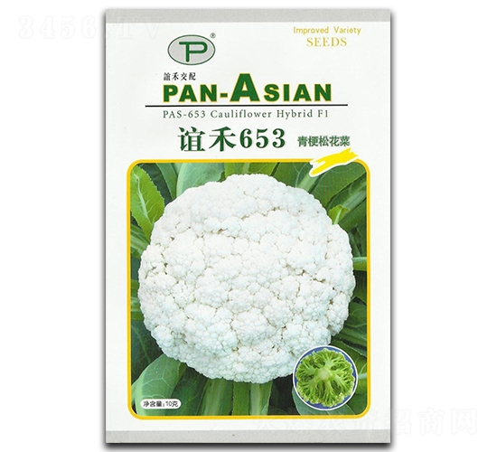 èª¼ç¦¾653-æ¾èŠ±èœç¨®å­-èª¼ç¦¾
