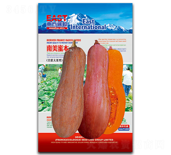 南美蜜本-南瓜種子-祥瑞達