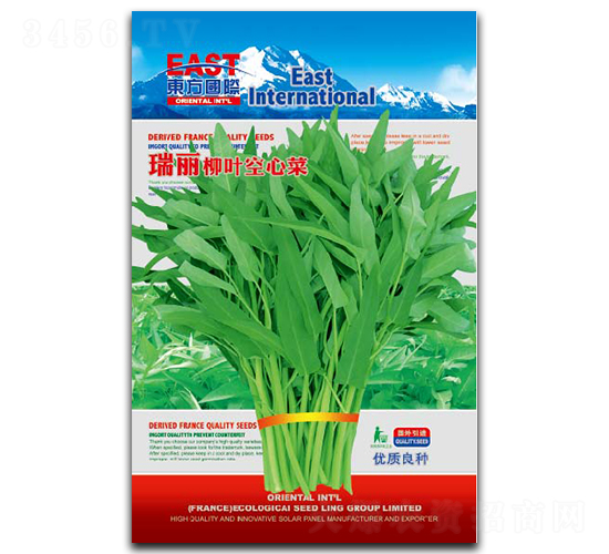 瑞麗柳葉空心菜-空心菜種子-祥瑞達