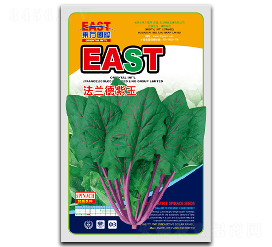 法蘭德紫玉-油菜種子-祥瑞達(dá)