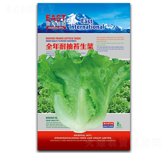 全年耐抽苔生菜-生菜種子-祥瑞達(dá)