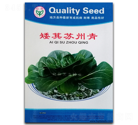 矮箕蘇州青-青梗菜種子-天龍種業(yè)