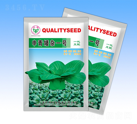 申青矮雜一號(hào)-青梗菜種子-天龍種業(yè)